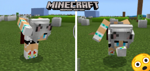 Animated Player Addon for Minecraft PE 1.13+