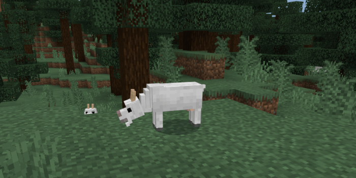 Goat Minecraft PE Addon/Mod .3, , , , 