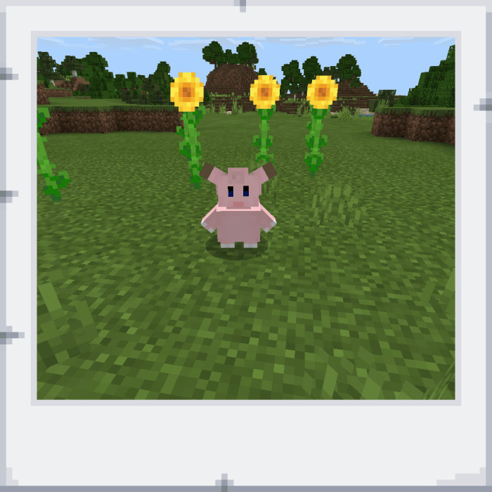 Ditto and Eevee Hunt in Minecraft Pixelmon Mod 