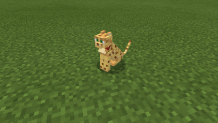 Cats+ Minecraft PE Addon/Mod 1.16
