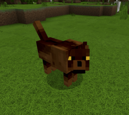 More Improved Wolves Minecraft PE Addon 1.16, 1.15