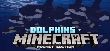 Dolphins Plus: Rediscovery! Addon 1.16