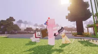Enhanced Pets Addon